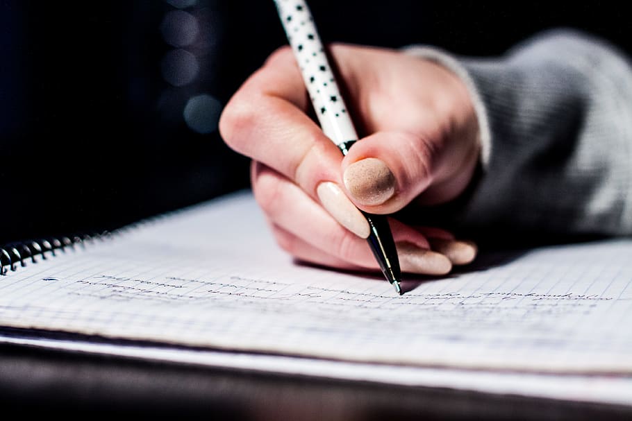 Writer's Workshop Series