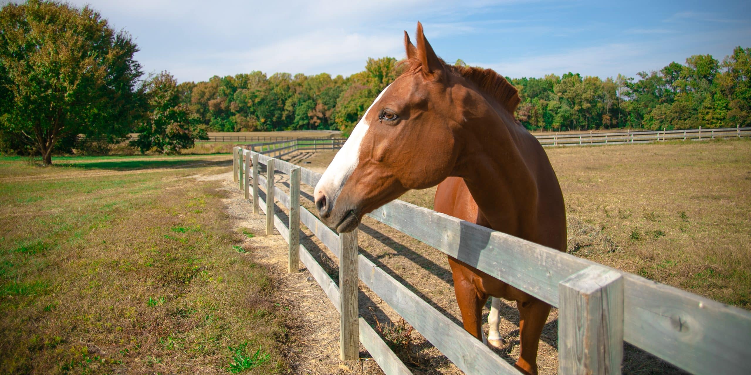 Fall Festival / Hanover Field and Farm Tour