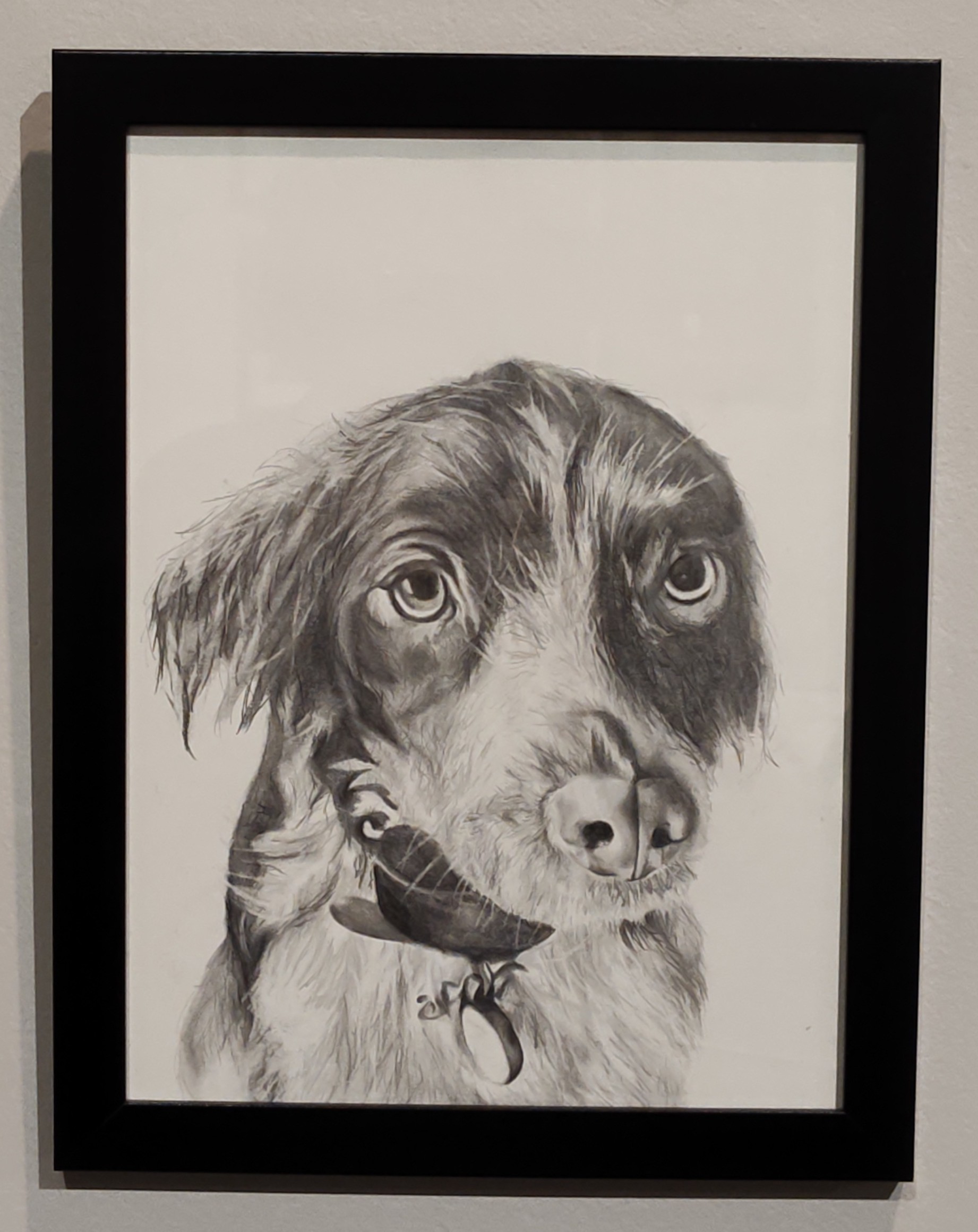 Middle School and High School Art Show