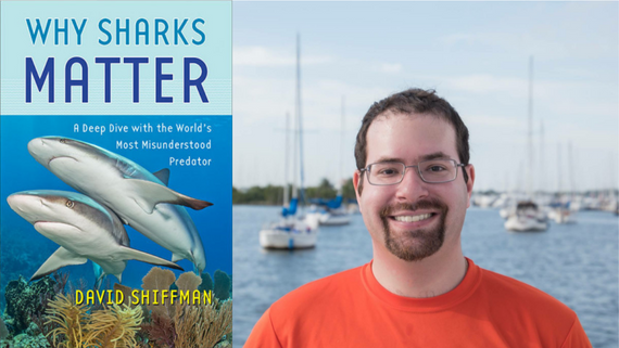Why Sharks Matter: The Science and Policy of Saving Sharks (Lecture)