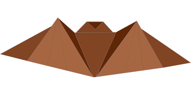 Bat Origami workshop